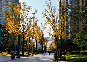 风水中买房子要注意哪些问题？