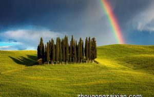 卧室的床头柜可以放桃花吗