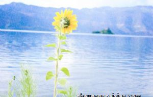 桌正对床好不好 风水影响如何呢