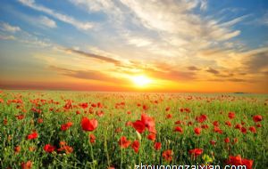 房间中摆放佛像怎样才能带来好运