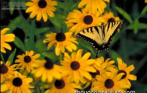 房间风水核心要素是什么 有什么建议