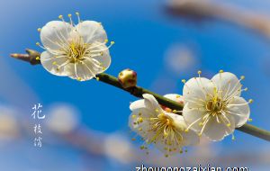 刀字型房间风水化解方法有哪些