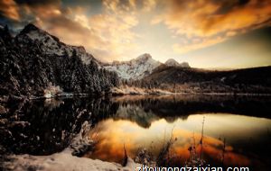 家庭院子绿植养不活风水差是真的吗