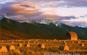 墓地中什么风水方法可以改运