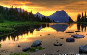 可以居家种菊花吗 菊花高雅赐安康