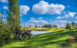 客厅财位上放什么最招财 风水轮最旺财运
