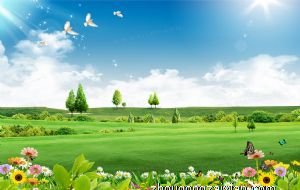 学生书房摆件怎么摆风水好 相关宜忌