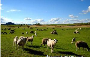 风水不好的房子是什么样