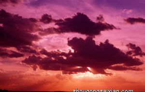 属兔的人办公室养什么花最旺财