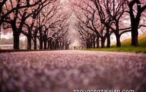 办公室挂画风水禁忌大全