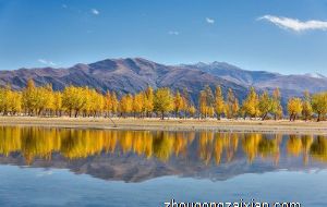 饭桌上的碗筷摆放也讲究