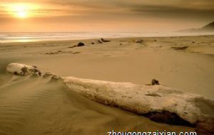 同事聚餐时最好的风水位置