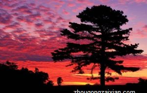 环境对人缘风水有哪些影响