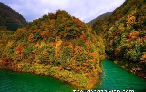 植物可以养在卫生间吗 有哪些可以养的 影响风水吗