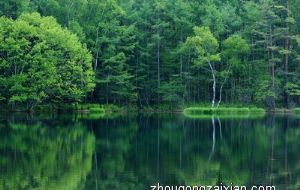 餐桌上有哪些东西是不能随意摆放的