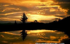 请高度重视 餐厅布局凶位的风水知识