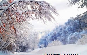 床头上放什么东西对身体好吗 如何选择