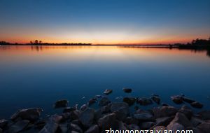 坟墓旁栽桂花树可以吗 