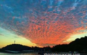 一楼窗外有棵桃树好不好 在风水上象征什么