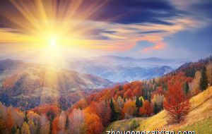 汽车风水摆件前十名 挂什么最好