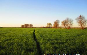 五行缺金适合在什么环境下工作