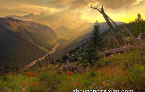 什么房型的出现 对三口之家不好