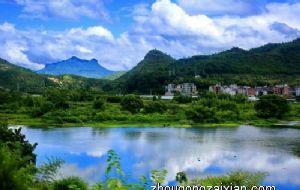 办公室摆放富贵椰子竹好不好