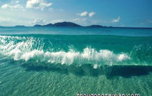 家里摆什么假花 对风水好