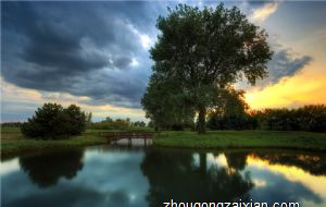 鱼缸可以放在镜子对面吗