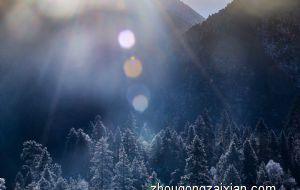 庭院可以建泳池吗 风水宜忌有什么