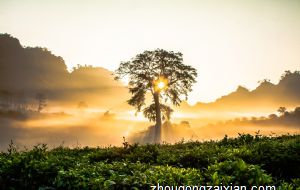 客厅的钟表挂在哪面墙上好