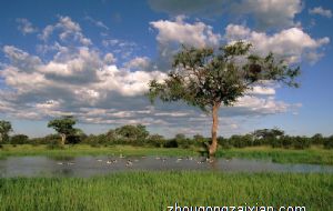 2021年不能在家中摆放什么东西 风水原因如何解释