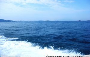 明财位放什么植物旺财又吉利