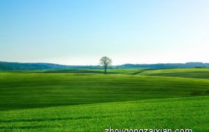 院子中间有大石头是吉是凶