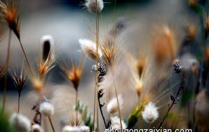 送人貔貅有什么忌讳 有什么禁忌