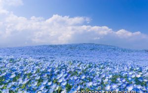 开门见窗钱财必光是真的吗