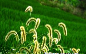 农村院子风水怎样聚财 农村建筑风水