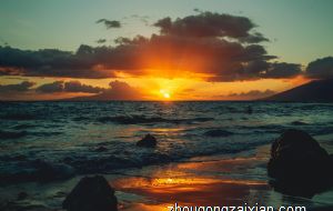 客厅种鸿运当头可以招财是真的吗