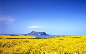 阴宅不宜出现红蜡烛是为什么呢