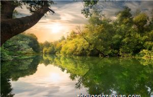 客厅财位能摆竹子吗 有什么作用