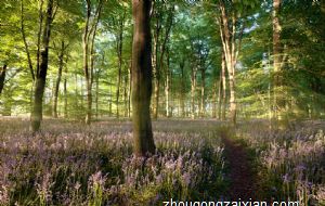 葫芦的摆放有忌讳吗 风水要小心