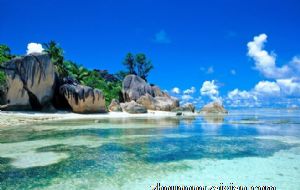 五行木旺的命怎么样 事业健康人缘与财运分析