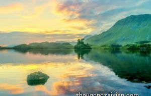 做生意养什么狗最旺财 养狗有什么注意事项