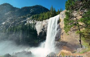 在家里可以养什么植物 鸿运当头增好运