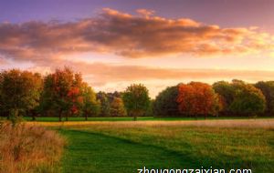 女人旺的吉祥手机号码 旺财运的手机号码合集