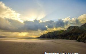 家里养什么植物旺财 好事多磨为白掌