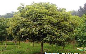 现代房屋户型风水要点一定要知道