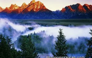 风水家中放什么可以当官 铜马摆件寓意马当成功