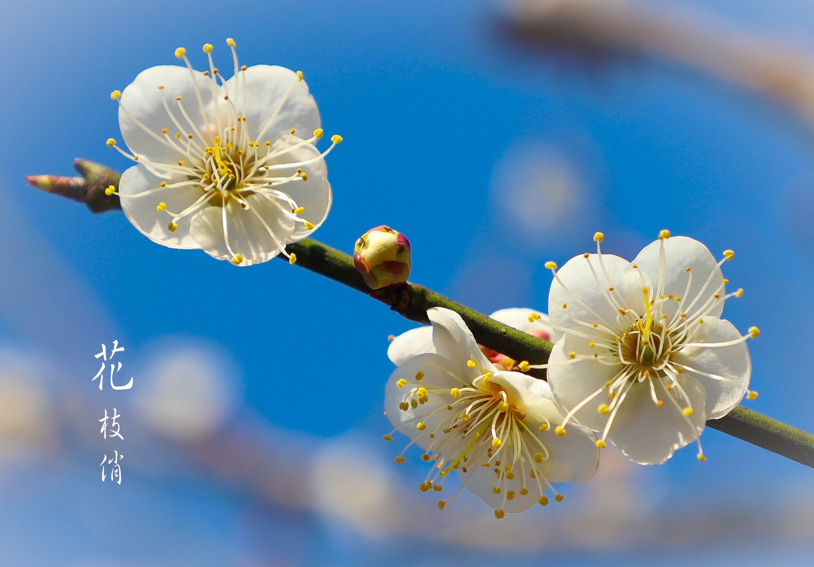 刀字型房间风水化解方法有哪些