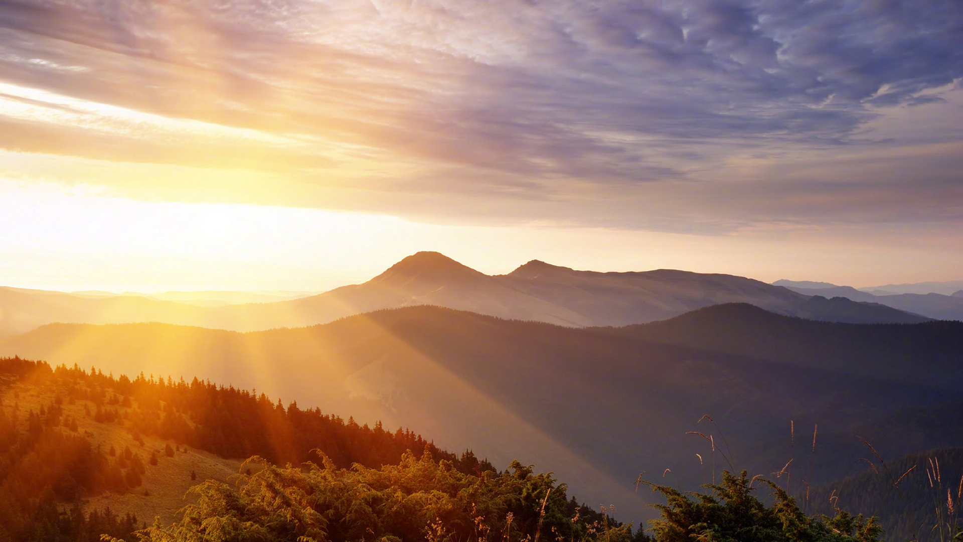 台灯选用什么颜色对健康更好